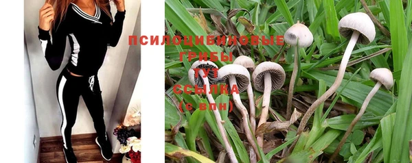 винт Белоозёрский