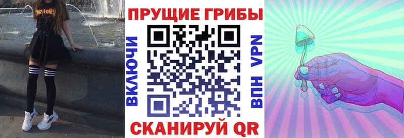 MEGA ссылки  Верещагино  Галлюциногенные грибы Psilocybe 